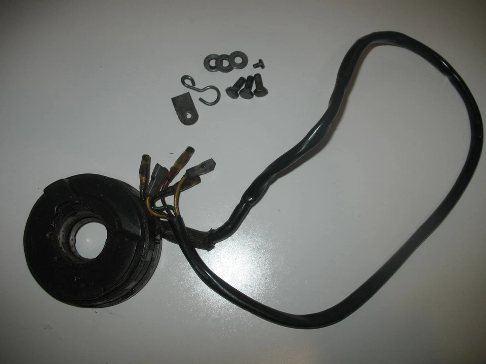 SEM BOBINAS DE ESTATOR AMAL 1987 HUSQVARNA HUSKY TE510 TX TC TE 510 87 CROSS COUNTRY Foto 1 de 4