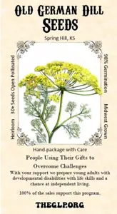Old German Dill Seeds *Big Large Heads *30+ SEEDS *FREE SHIPPING *NO GMO - Picture 1 of 2