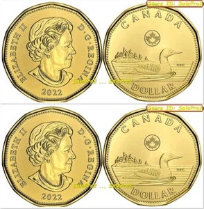 2x LOTTO MONETE DA 1 DOLLARO CANADA 2022 CANADA LOON QUEEN ELIZABETH II BU LOONIE - Foto 1 di 2