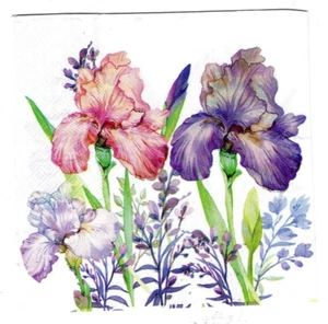 2 Paper Napkins Serviettes for Decoupage Papercraft Cardmaking Collage -Irises - Picture 1 of 2