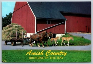 AMISH COUNTRY BRINGING IN THE HAY draft horses colts unused VTG Postcard A87 - Picture 1 of 2