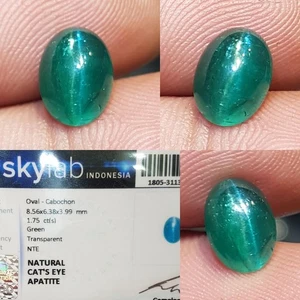 Certified Natural Cat’s Eye Apatite 1.75 Ct Rare Green Loose Gem SKY Lab - Picture 1 of 5