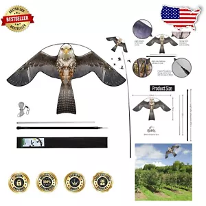 Bird Hawk Flying Kite with 4m Pole – Effective Farm Protector and Bird Scarer - Picture 1 of 9