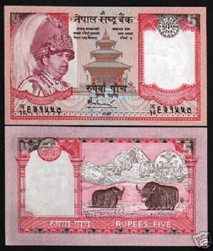 NEPAL 5 RUPEES P-53 2005 x 100 Pcs Lot Bundle EVEREST W/O HM GOVT TEXT UNC NOTE - Image 1 of 1
