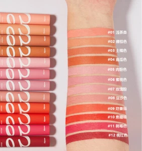 New Velvet Matte Lipstick Colorless Lip Glaze Lasting Lip stick Plumping Gloss - Picture 1 of 30