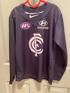 Carlton Blues AFL Nike Polyester Kid Long Sleeve Footy Jumper Sze M Mars Hyundai - Picture 1 of 19