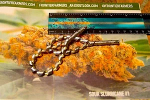 1X hand-formed Titanium Dried Flower Defoliating coil - Picture 1 of 1