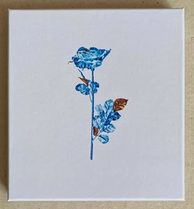 ELLIE GOULDING * BRIGHTEST BLUE * SIGNED LIMITED EDITION 2CD BOX SET * BN&M! - Picture 1 of 9