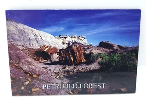 Versteinerter Wald Arizona Souvenir Kühlschrankmagnet - Bild 1 von 4