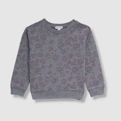 Splendid Toddler Girl's Gray Daisy Floral Crewneck Sweatshirt Sweater Size 3T - Image 1 of 2