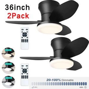 2pack 36 Inch Ceiling Fan with Light and Remote Small Low Profile Ceiling Fan US - Picture 1 of 12