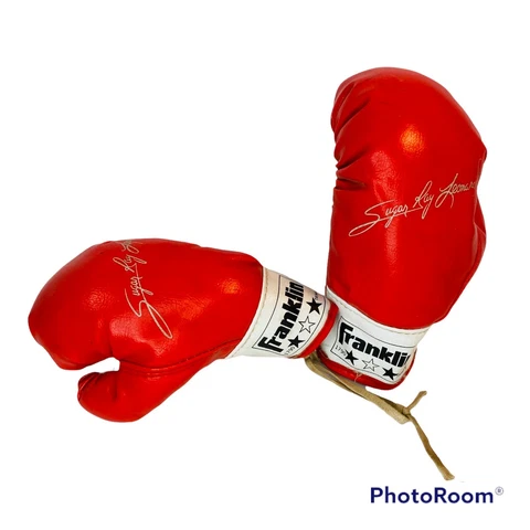 Sugar Ray Leonard Vintage Franklin Boxing Gloves 1774 Youth Middleweight Display Cover
