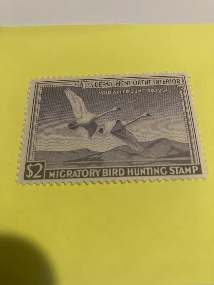 RW17 Trumpeter Swans Federal Duck Stamp MNH   see comment section gum pickup - Image 1 of 3