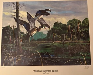 "Carolina Summer Ducks” By Robert E. Binks S/N 73/2600 LE Duck Art Print - Picture 1 of 5