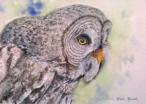 ORIGINAL Signed Watercolour Painting OWL Bird Barn Wildlife Gift Art Clare Crush