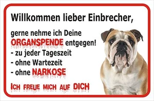 Schild S0676 - Vorsicht Englische Bulldogge - Einbrecher 15x20 bis 40x60cm Hund - Bild 1 von 1