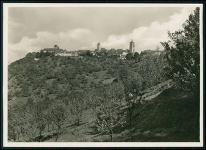 Foto 18x13 - Waldenburg - Panorama Stadtkrone Hohenlohe Turm Hang mit Obstbäume - Bild 1 von 2