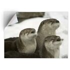 1 x Vinyl Sticker A5 - Cute Otter Family Animals Wild  #8534