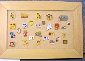 Lapel Pin Lot 28 pins AMVETS FOE VFW States Snoopy and more 2000-2011 - Picture 1 of 10