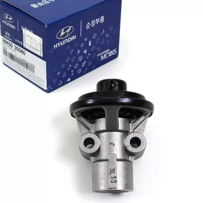 GENUINO 2845035560 EGR Conjunto de válvulas para Hyundai XG300 XG350-Santa Fe y KIA Amanti Foto 1 de 4