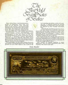 22kt Gold $75 Belize 1981 Banknote- FAIRY BASSLET- RARE UNC-Stain corner display - Imagen 1 de 1