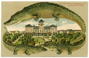 Alligator Border Florida 589 Jacksonville Hotel Windsor & Hemming Park - Picture 1 of 2