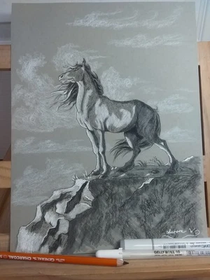 Obra de arte Wild Horse On A Cliff carbón  Foto 1 de 4
