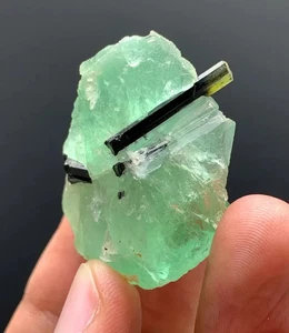 Grünkappe Turmalin auf grünem Fluorit aus Pakistan - 23 Gramm - Bild 1 von 5