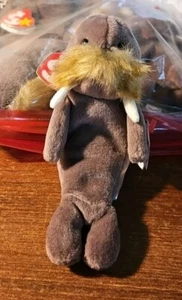 TY BEANIE BABY JOLLY THE WALRUS PLUSH WITH TAG P. E. PELLET EDITION - Picture 1 of 4