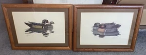 Richard Sloan Duck Prints Framed Set Of 6 1980-81 - Picture 1 of 5