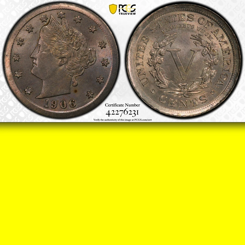 ¡Llantas gigantes MS63 1906 PCGS! Planchet Tipo 1 - ¡Dramático Error RARO! Liberty Nickel Foto 1 de 3