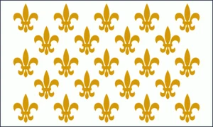 8 Fuß x 12 Fuß französische Flagge, 1685-1690 - Bild 1 von 2