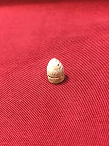 Civil War 36 Richmond Colt Bullet Dug Middle Tennessee - Picture 1 of 4