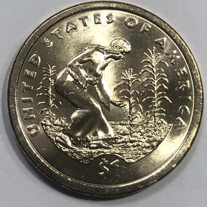 2009 P - $1 Native American Golden Dollar Coin - Picture 1 of 2