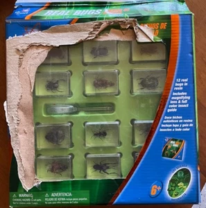 Edu Science REAL BUGS in Resin Insect Display 12-Pack Life Toys R Us Box, New! - Picture 1 of 3