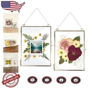 Reversible 8x10 Glass Frames - Antique Bronze Set for Art & Botanical Displays - Picture 1 of 8