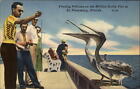 St Petersburg Florida Feeding Pelicans On Million Dollar Pier ~ Postcard Sku603