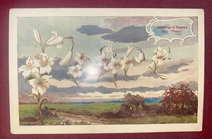 JOHN'S DEALS - VEREINIGTE STAATEN - VINTAGE OSTERN FRIEDENSLILIE POSTKARTE - Bild 1 von 2