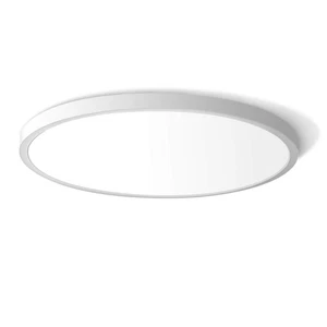 LED Flush Mount Ceiling Light Fixture, 5000K Daylight White 24W(240W Equivale... - Picture 1 of 7