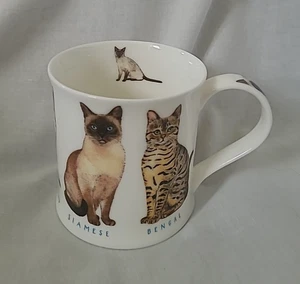 Dunoon Show Cats Fine Bone China Mug 250ml Design by Richard Partis. VGC. - Picture 1 of 10