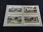 Somerset and Devonshire Hunting Scenes Postcard St Audries Nettlecombe Court Slo