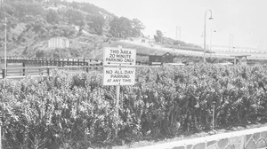 Vintage 1940s Photo Treasure Island Looking To Bay Bridge - Picture 1 of 3