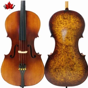 Raro Canción Profesional Violonchelo 4/4 Sólido Ojo de Pájaro Espalda Abeto Antiguo Top #15116 - Imagen 1 de 6