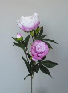 Pfingstrose - Seidenblüte - rosa weiß - Kunstblume Blüte Blütenzweig Seidenblume - Bild 1 von 3