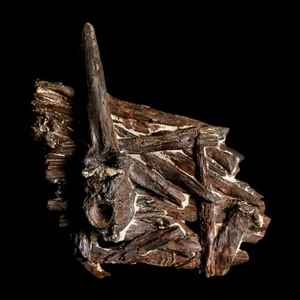 3.1" Unknown Fossil Vertebrae And Bones in Matrix Late Cretaceous Era Niobrara - Picture 1 of 8