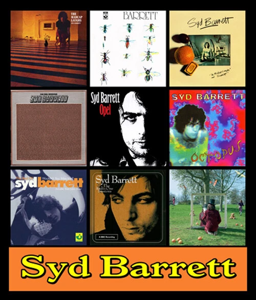 SYD BARRETT album discography magnet (3.75" x 4.75" magnet) the police Foto 1 de 1