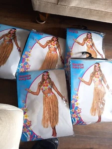 Joblot X8 Ladies Straw Skirt Festival Hawaiian Hola Tropical Fancydress Costume - Picture 1 of 6