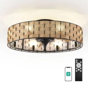 Orison 24" Caged Ceiling Fan with Lights, Flush Mount,2 Ways Control App - Picture 1 of 8