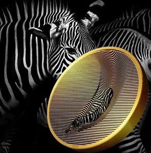 Palau 20 Dollars 2023 Zebra Camouflage of Nature Gilded 5 Oz Silver Coin - Picture 1 of 4