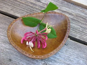 Mid Century Modern Jugoslawien VOLKSKUNST Holzschale handgeschnitzt ~ schöne Patina! - Bild 1 von 12